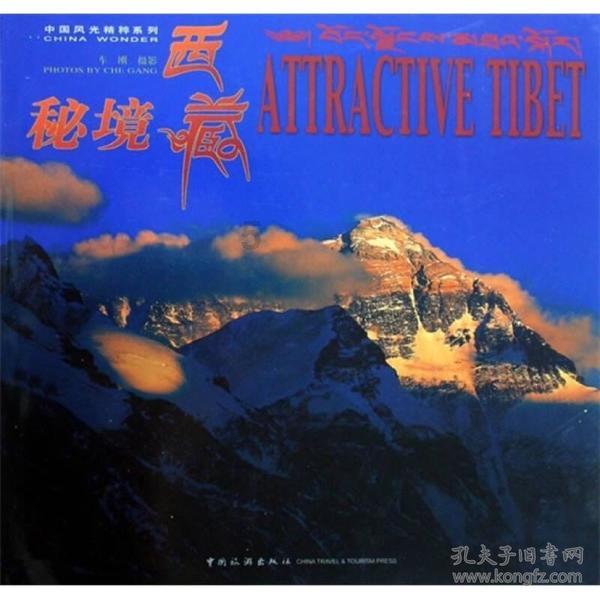 专家在线解答你的问题-能看到人的地图浏览知识问答网页